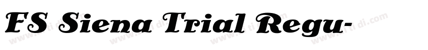 FS Siena Trial Regu字体转换